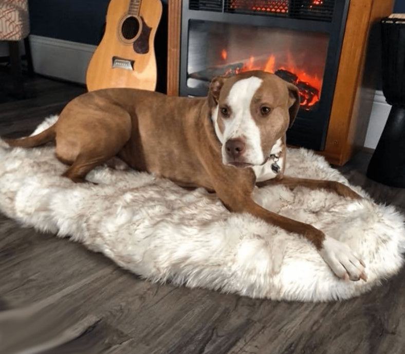Tapis en peluche beige pour chien
