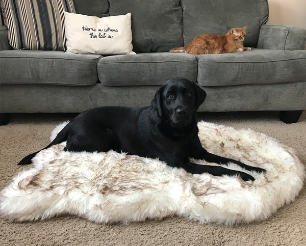 Tapis en peluche beige pour chien