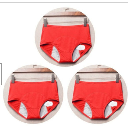 Culottes anti-fuites pour femmes, sous-vêtements en nylon